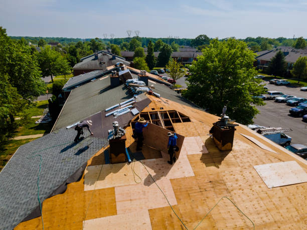 Best Flat Roof Repair Services  in Sleepy Hollow, WY