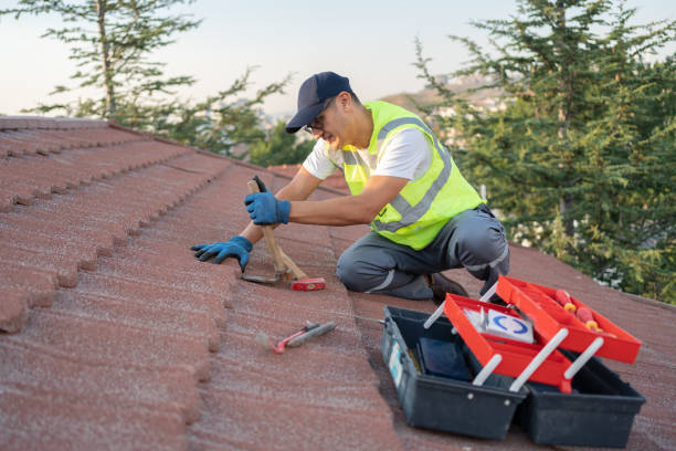 Best Roof Leak Repair  in Sleepy Hollow, WY